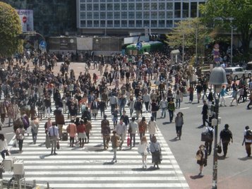 Tokyo fodgængerovergang